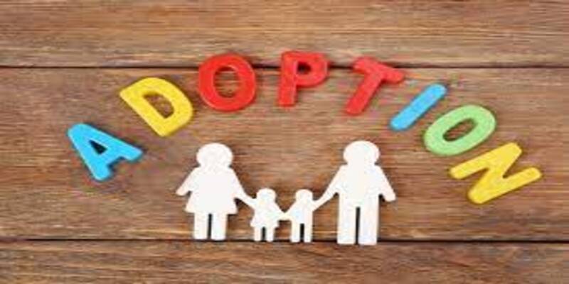 Adoption law software for INDIVIDUALS