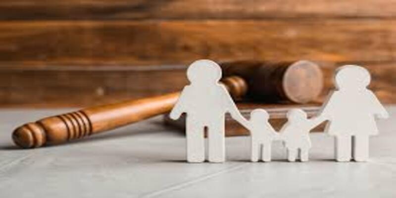 Custody law software for INDIVIDUALS