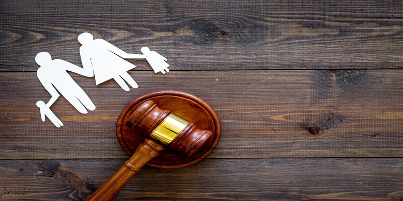 Software for Custody Law Firms