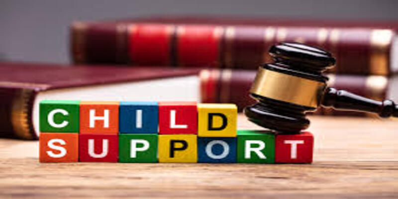 Child Support INDIVIDUAL Software
