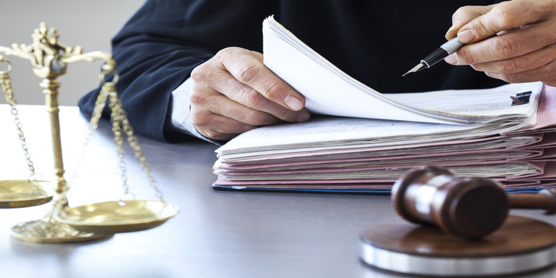 Software for Dog Bite Law Firms