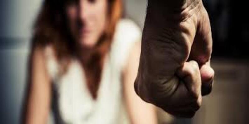 Domestic Violence law software for INDIVIDUALS