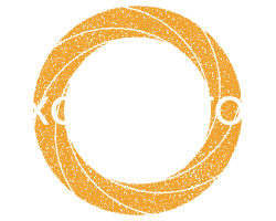 Chicago Accelerators