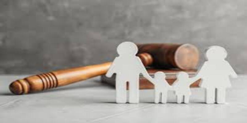 Guardianship law software for INDIVIDUALS