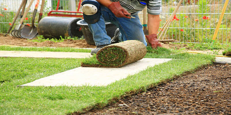 Software for Landscaping