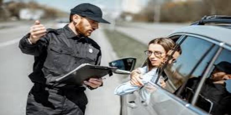 Traffic INDIVIDUAL Software
